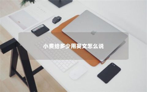 小费给多少用英文怎么说