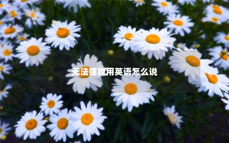 无法摆脱用英语怎么说