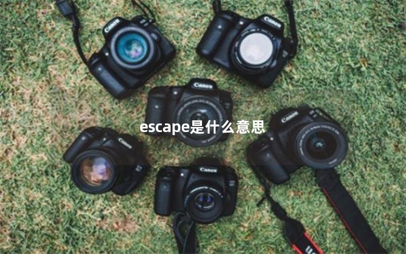 escape是什么意思