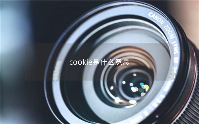 cookie是什么意思