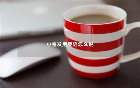 小卷发用英语怎么说