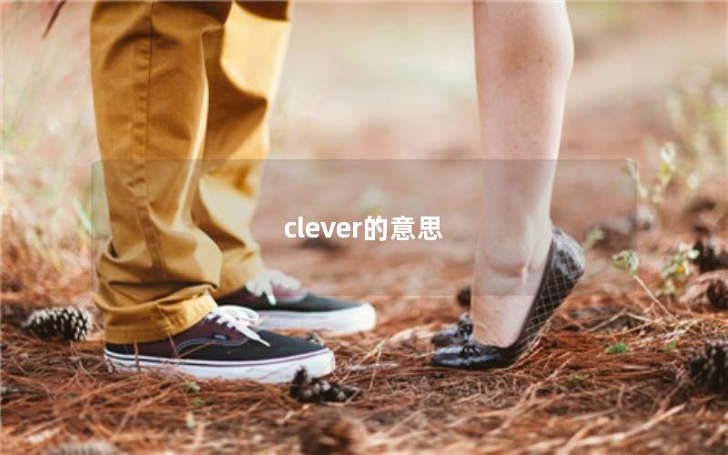 clever的意思