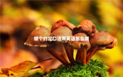 做个约定口语用英语怎么说