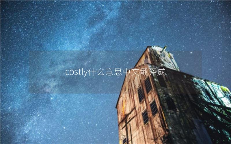 costly什么意思中文翻译成