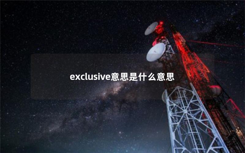 exclusive意思是什么意思