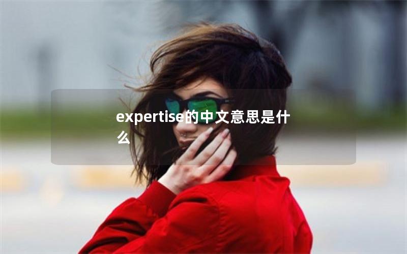 expertise的中文意思是什么