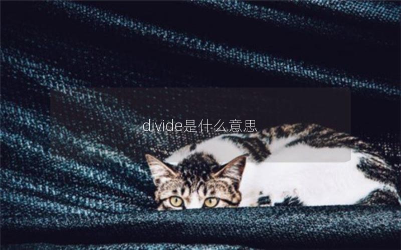 divide是什么意思