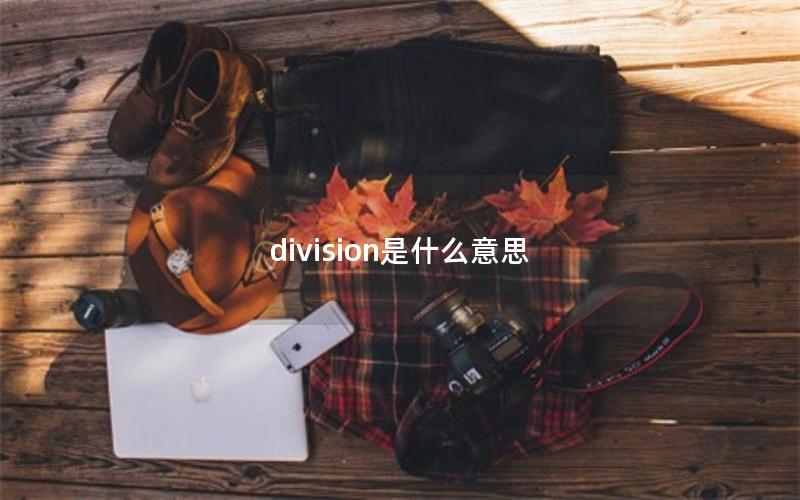 division是什么意思