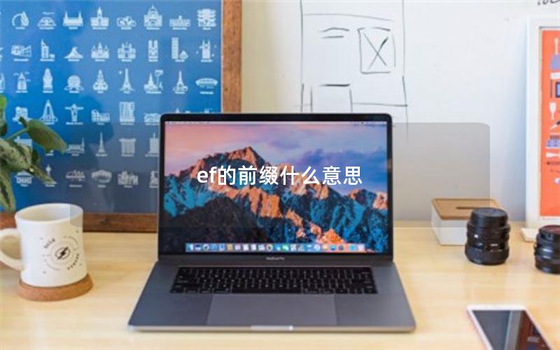 ef的前缀什么意思