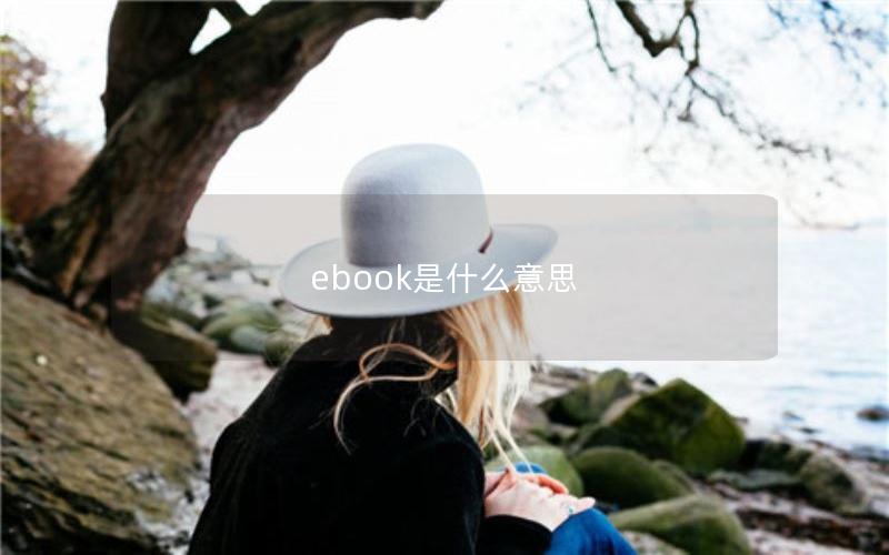 ebook是什么意思