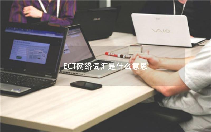 ECT网络词汇是什么意思