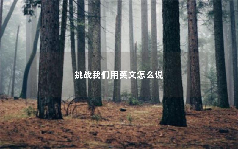 挑战我们用英文怎么说