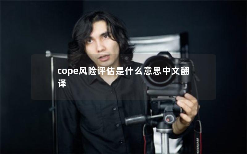 cope风险评估是什么意思中文翻译