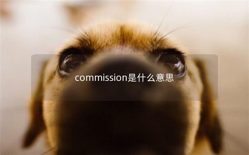 commission是什么意思