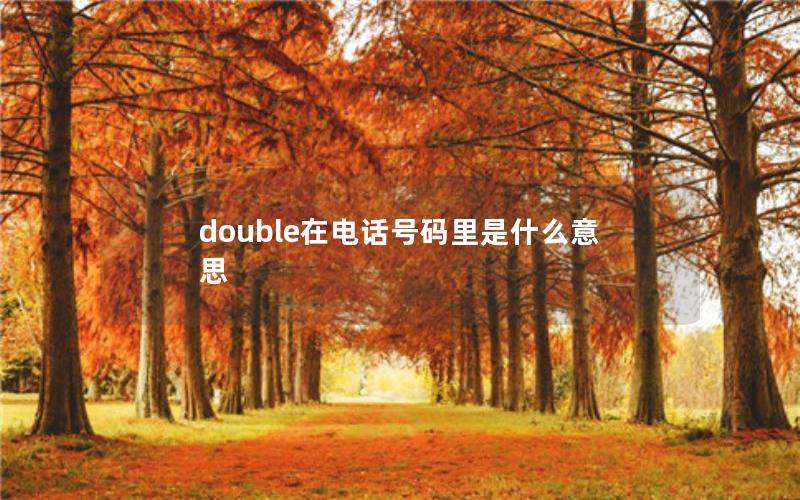 double在电话号码里是什么意思