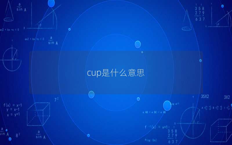 cup是什么意思