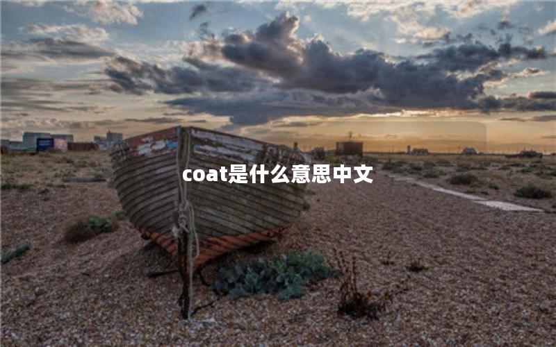 coat是什么意思中文