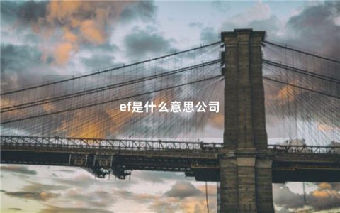 ef是什么意思公司